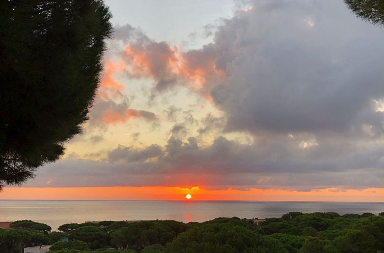 Appartement "Melis II M5 Playa de Pals"