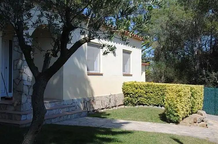Mas Tomasi