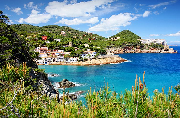 Vakantiehuis La Sardana
