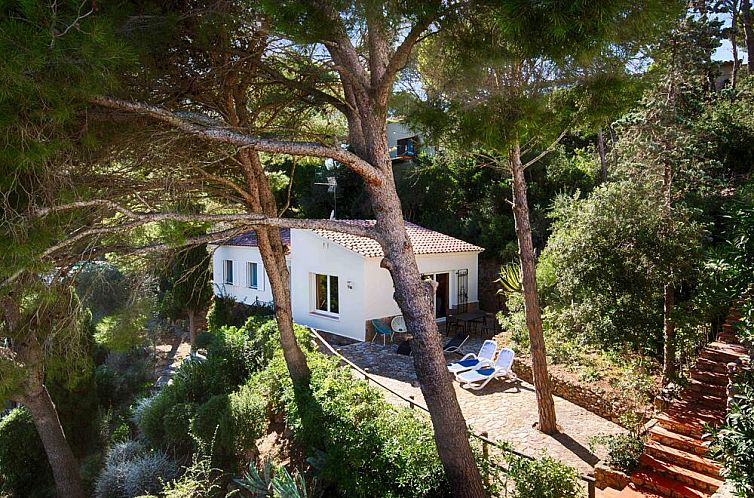 Entdecken Sie den ruhigen Aussenbereich von Casa Catalana in Begur, Costa Brava, ideal fuer einen entspannten Urlaub in einem gemuetlichen Ferienhaus.
