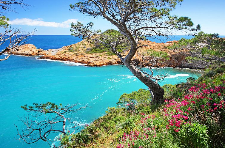 Vakantiehuis Cala Moreta
