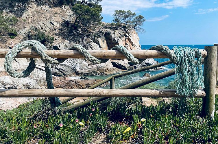 Appartement Loomins studio