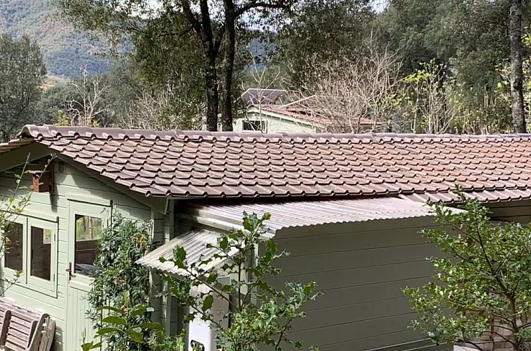 Casita verde