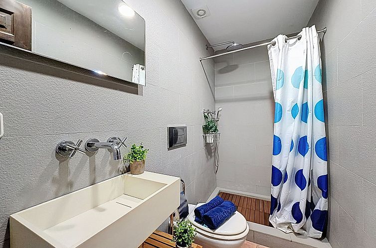 Vakantiehuis Salins
