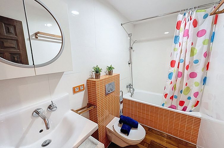 Vakantiehuis Salins