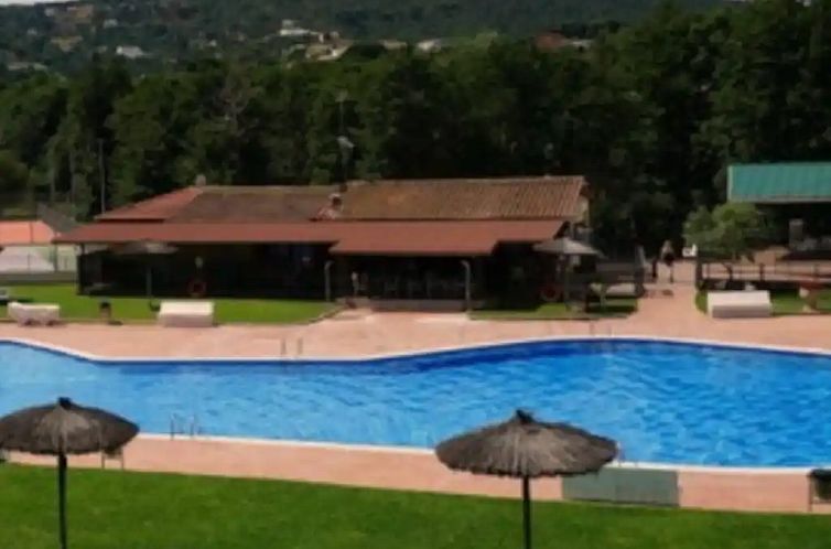 La Tórtola del Bosque