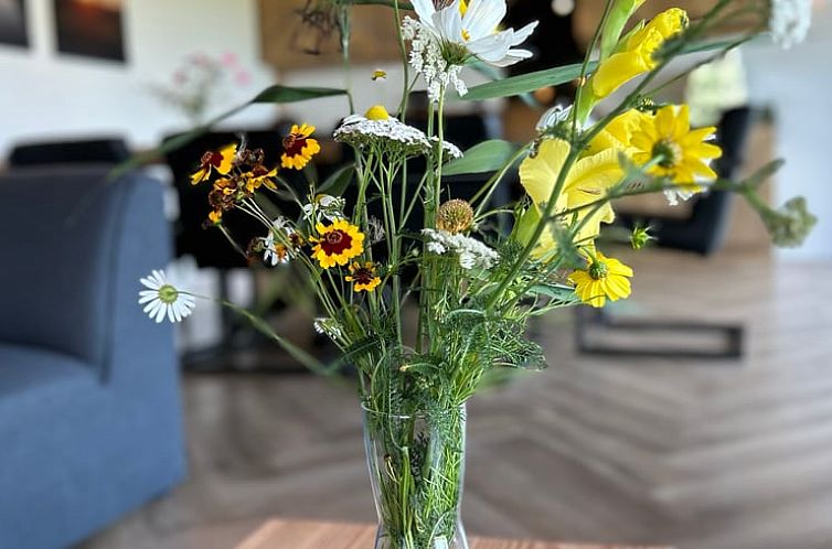 Huisje in Goëngahuizen