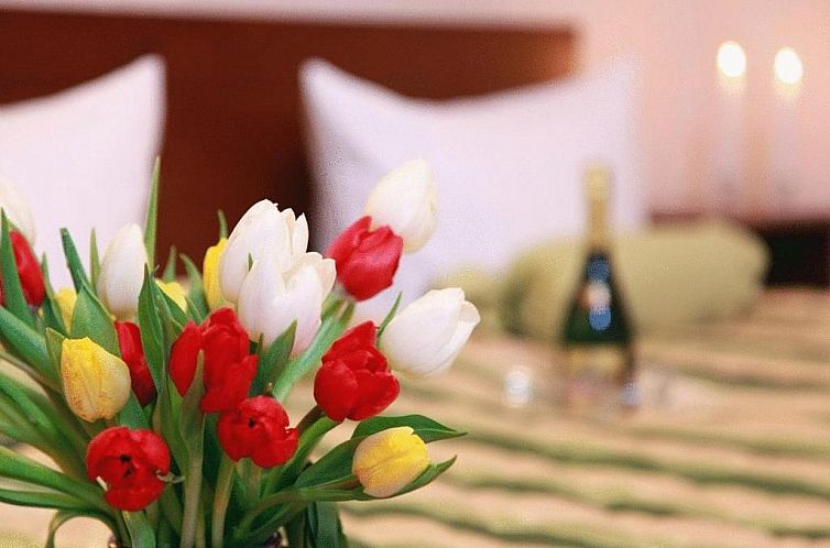 Guest house 15021484 - Bed and Breakfast Berlin / Brandenburg - Ark am Hauptbahnhof