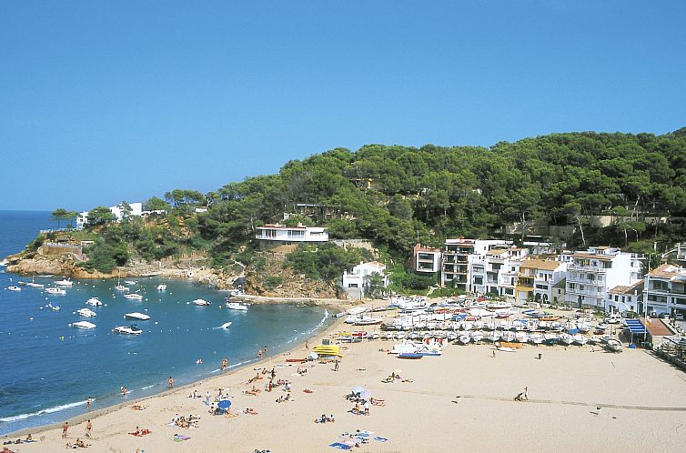 Appartement S'Olivera Nº2