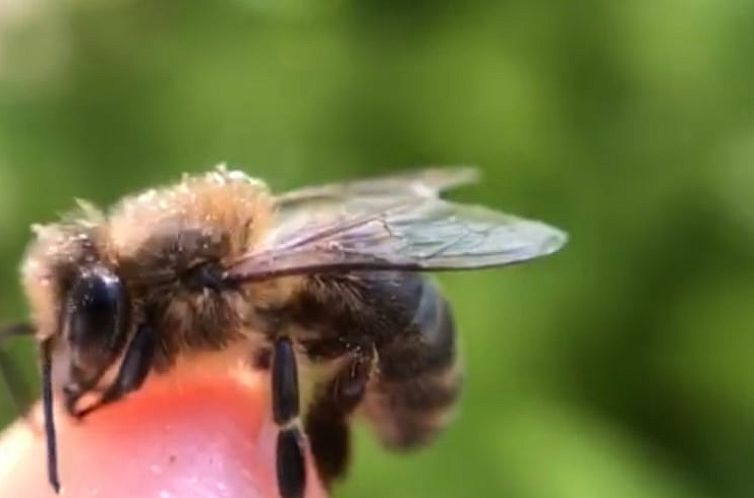 Vakantiehuisje in navata