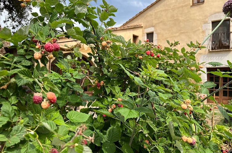 Vakantiehuisje in navata