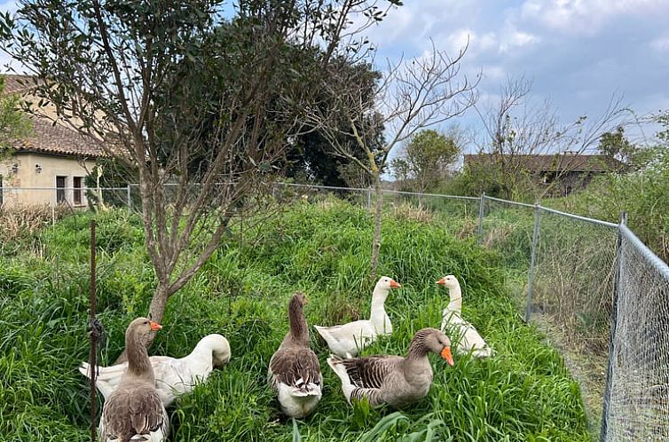 Vakantiehuisje in navata