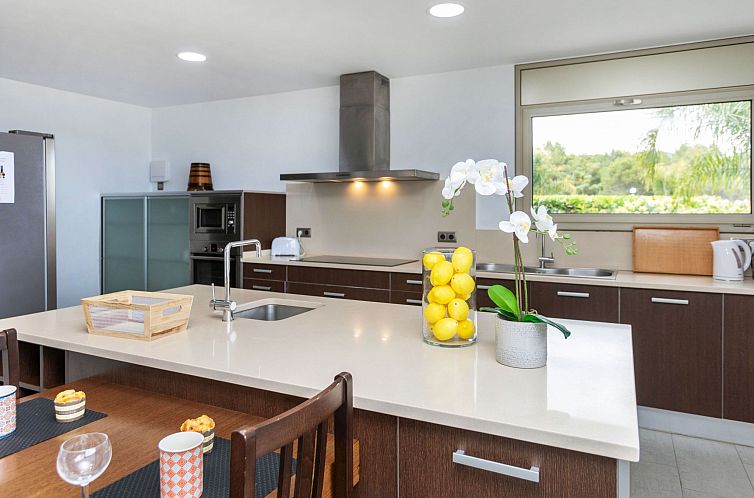 Vakantiehuis Palmbeach