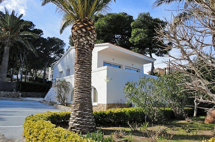 Appartement El Gato I