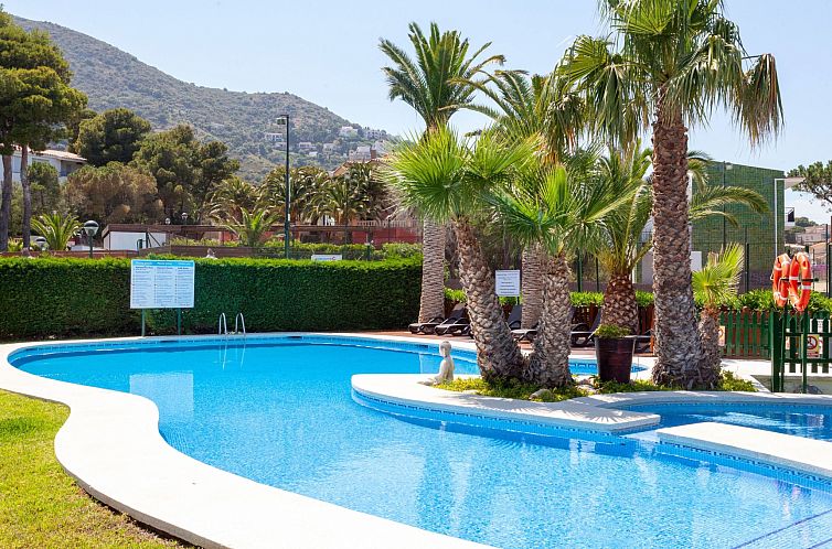 Appartement Palmiers I