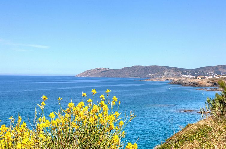 Appartement Palmiers I