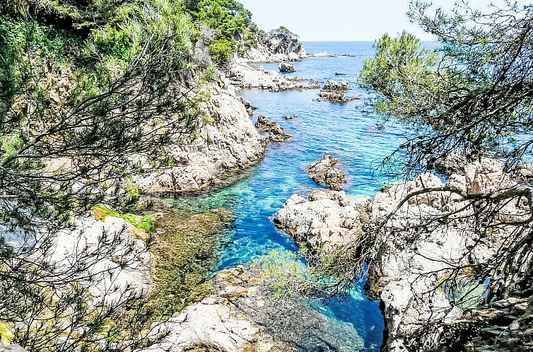 Appartement Llafranc Beach