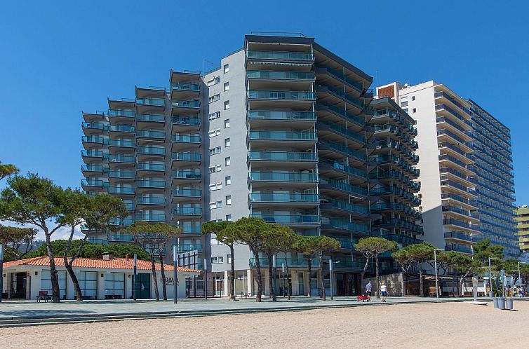 Appartement Blau