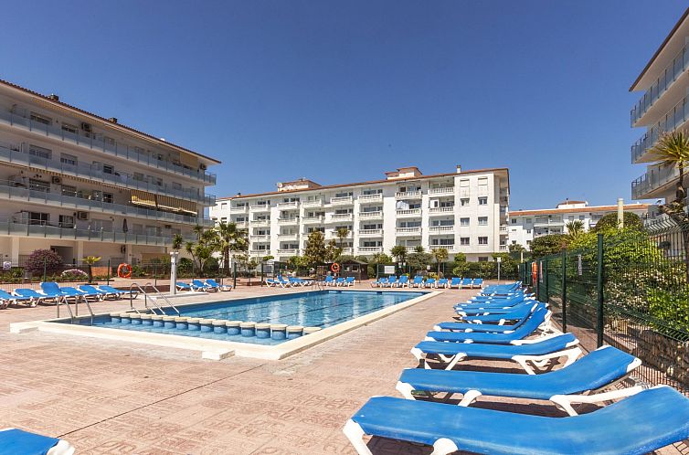 Guest house 1507004 - Apartment Costa Brava - Appartement Eivissa