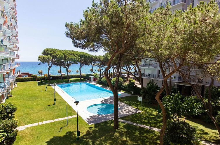 Appartement Palmeras