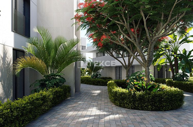 Appartement in Torre - Pacheco