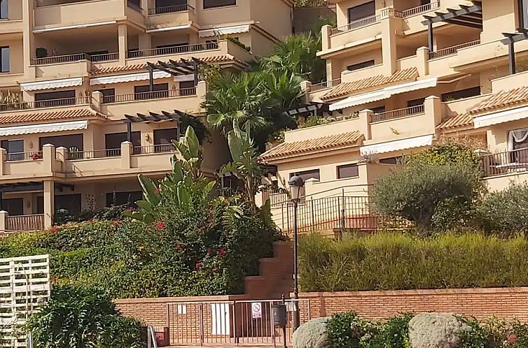 Guest house 1511103 - Apartment Costa Calida - Casa Don Marco