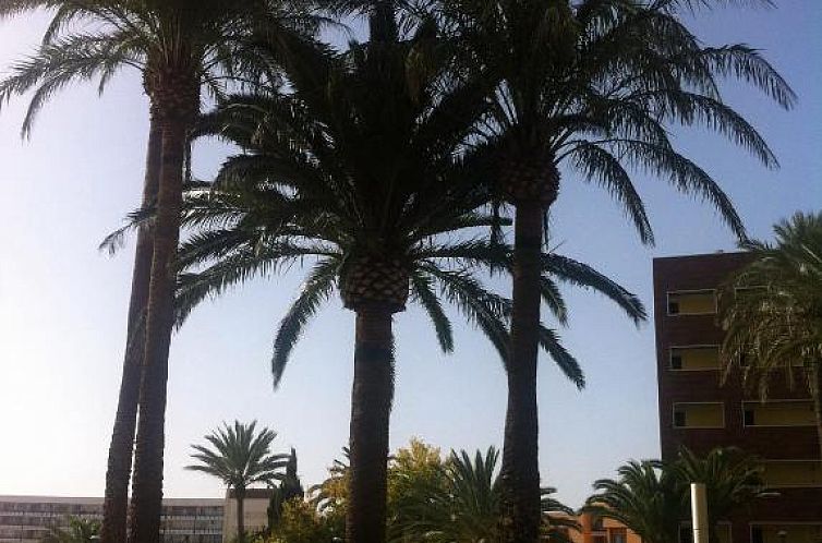 Apartamentos Torre de la Roca