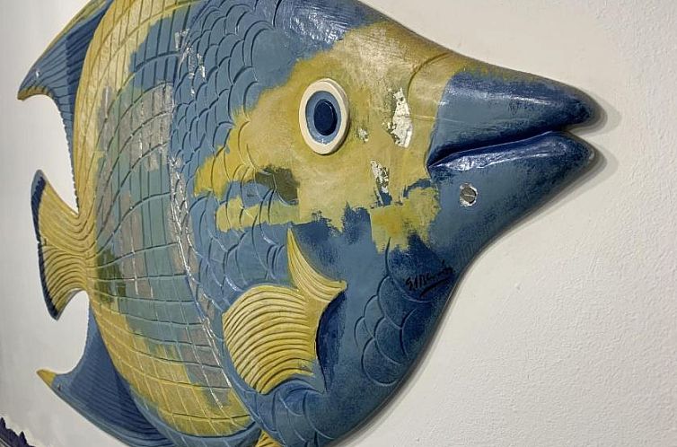 Apartamentos Guaquin