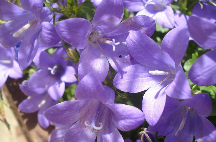 Appartement Wohnung Ebrón, Blick auf das Tal.