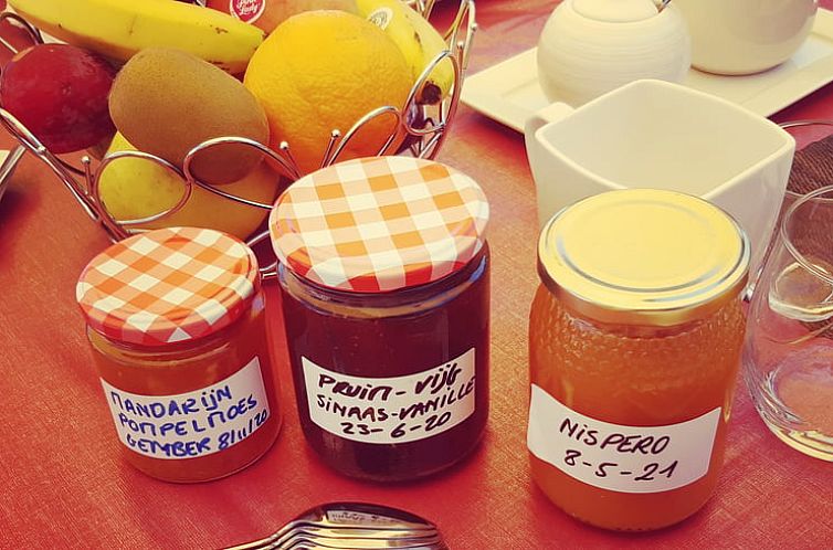 Vakantiehuis in La Vall de Laguar