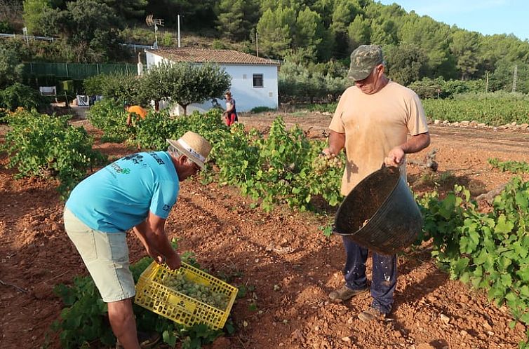 Vakantiehuis in Lliber