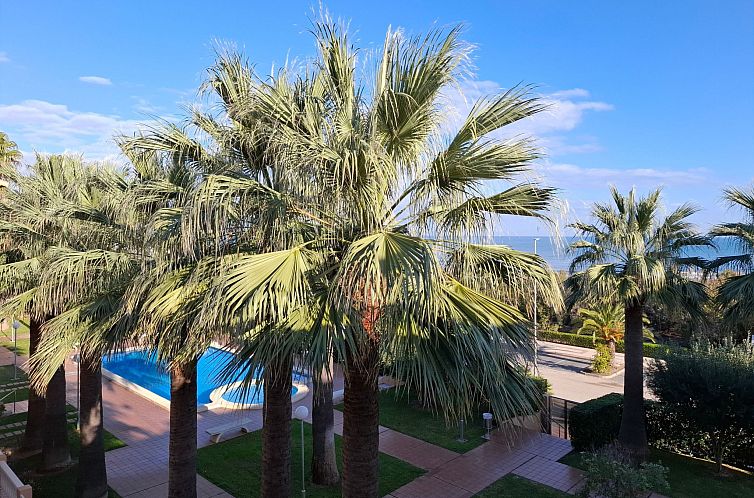 Appartement Wohnung Stella, 1. Reihe Meerblick und Palmen