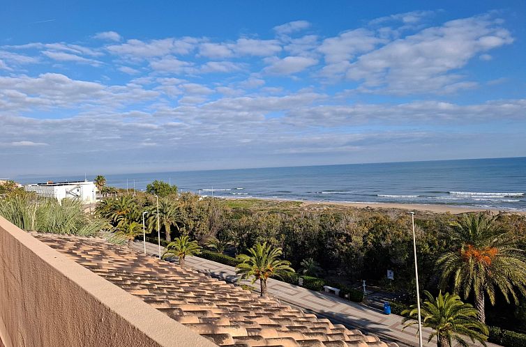 Appartement Wohnung Stella, 1. Reihe Meerblick und Palmen