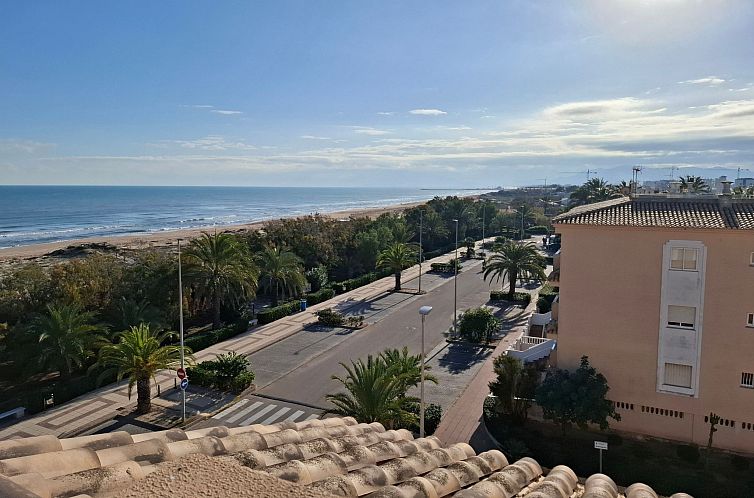 Appartement Wohnung Stella, 1. Reihe Meerblick und Palmen