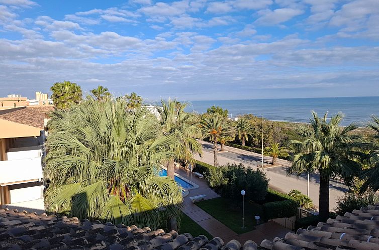 Appartement Wohnung Stella, 1. Reihe Meerblick und Palmen