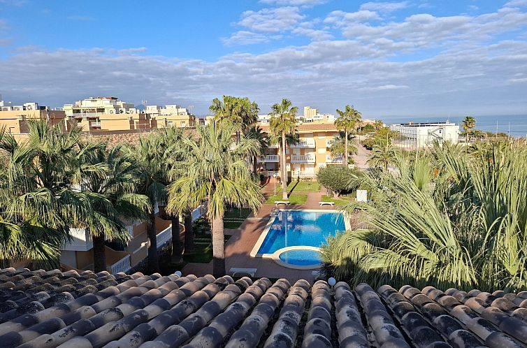 Appartement Wohnung Stella, 1. Reihe Meerblick und Palmen