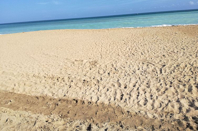 Appartement Wohnung in Strandnähe