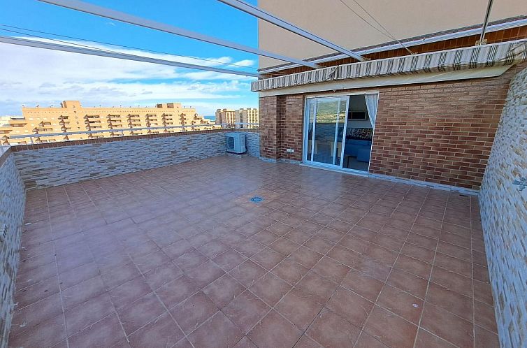 Appartement Apartamento Coral lll Vermietung Ferien Ref 035