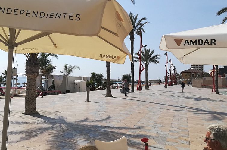 Majari