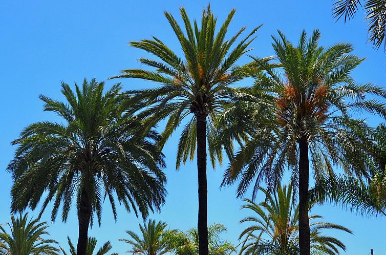 Appartement Schöne Ferienwohnung mit tollem Ausblick
