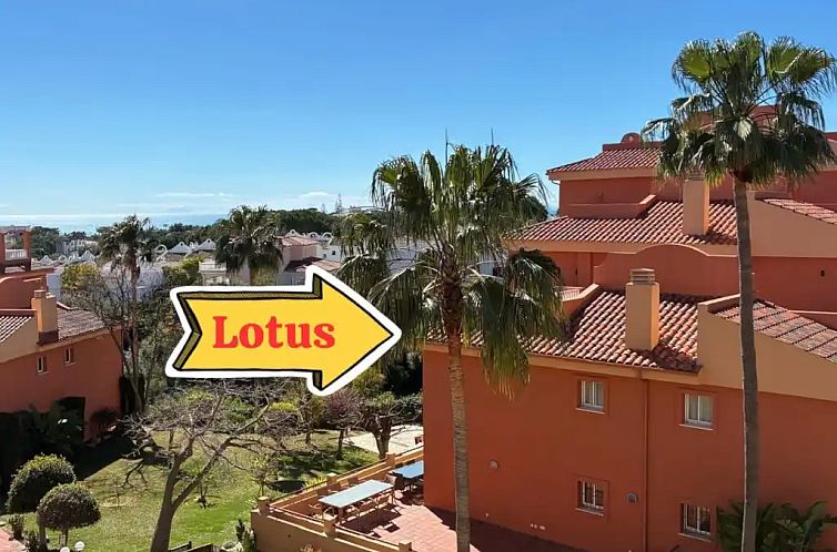 PENTHOUSE LOTUS  LAST MINUTE 2026!