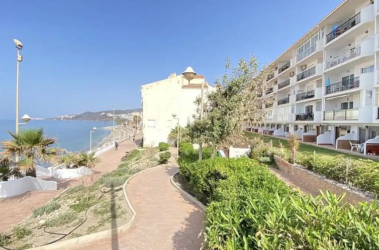 Guest house 15504107 - Apartment Costa del Sol - Arce 2 Studio