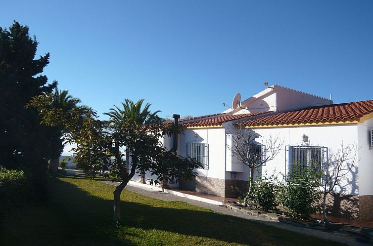 Vakantiehuis Casa Palmeras in Sayalonga mit Gepflegtem Garte