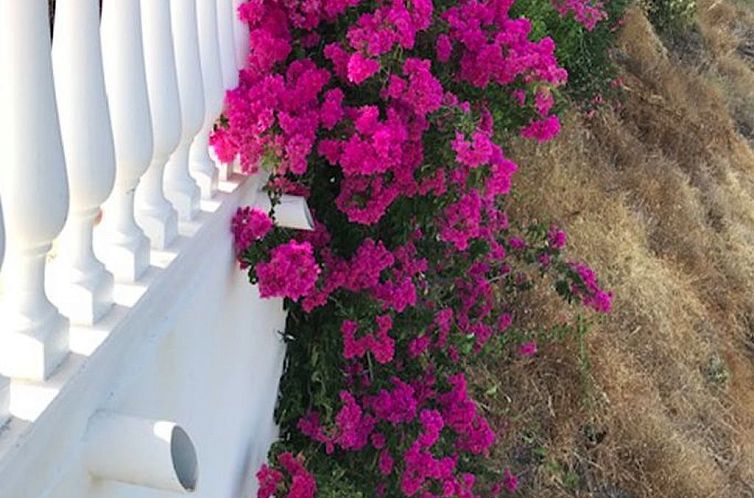 Vakantiehuis Casa Palmeras in Sayalonga mit Gepflegtem Garte