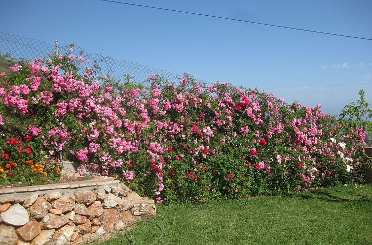 Vakantiehuis casa leo