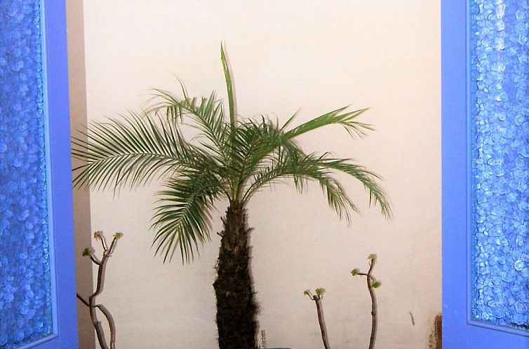 Vakantiehuis Typisches Haus im Zentrum des Barrio Morisco