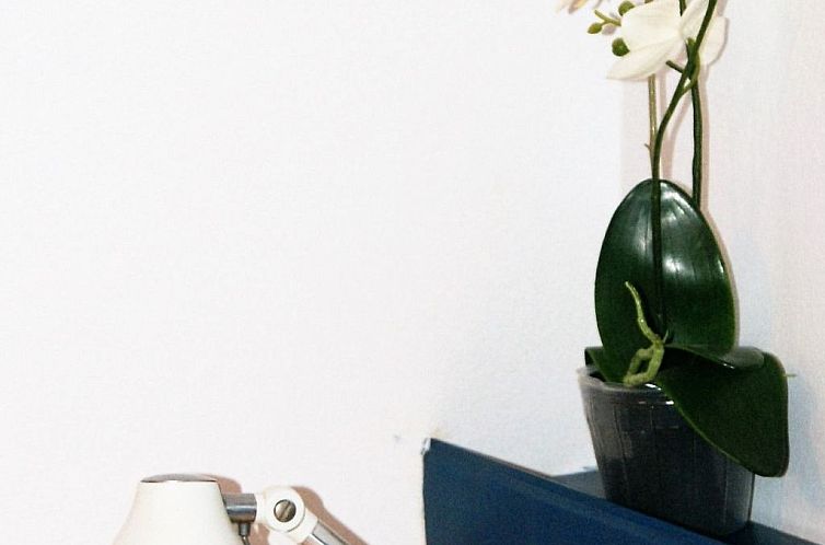 Vakantiehuis Typisches Haus im Zentrum des Barrio Morisco