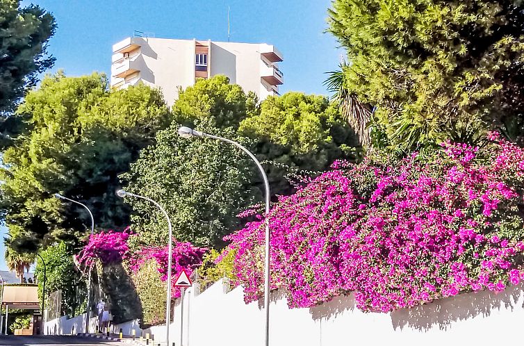 Appartement Duquesa de España