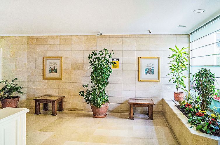 Appartement Puerto Paraíso