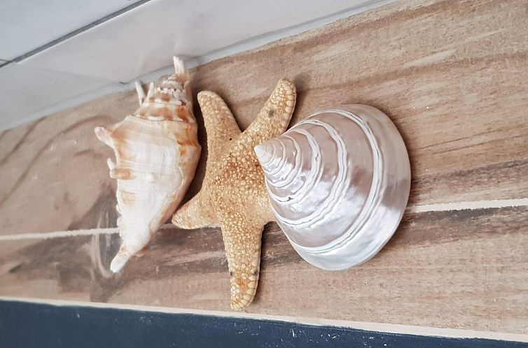 Appartement Der Ort des Lichts